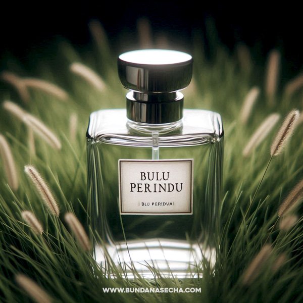 Minyak Bulu Perindu Asli